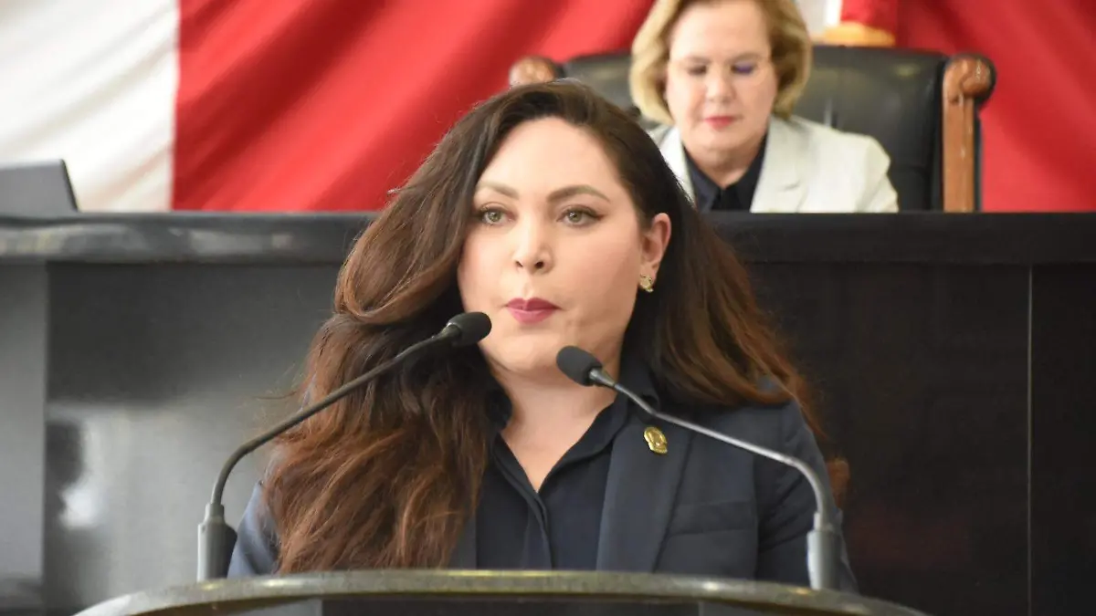 Georgina Zapata diputada